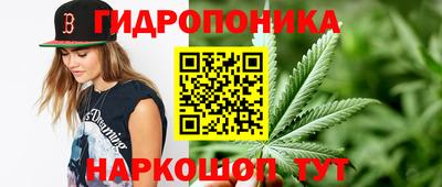 mdpv Кандалакша