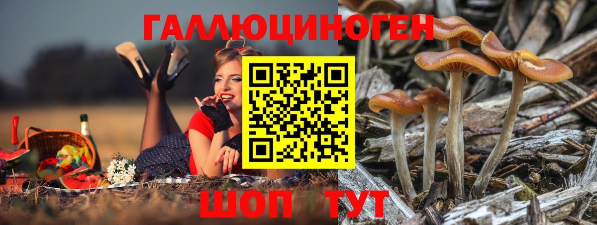 Псилоцибиновые грибы прущие грибы Ливны